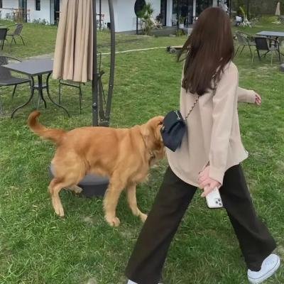 四个丘比特